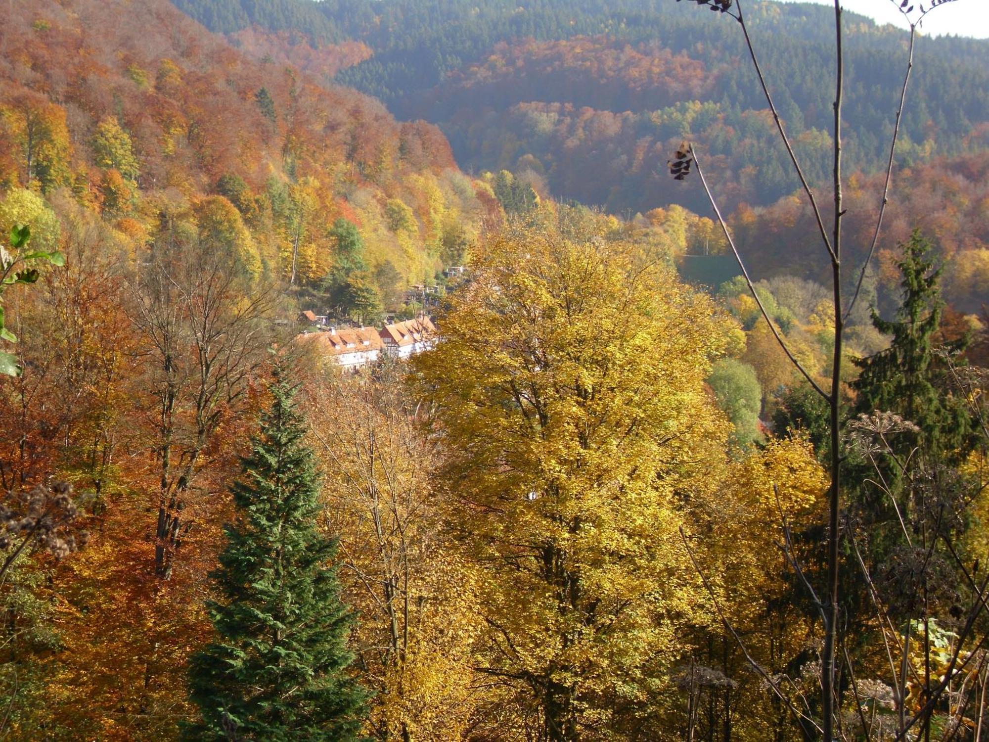 Naturkost-Hotel Harz Bad Grund Luaran gambar