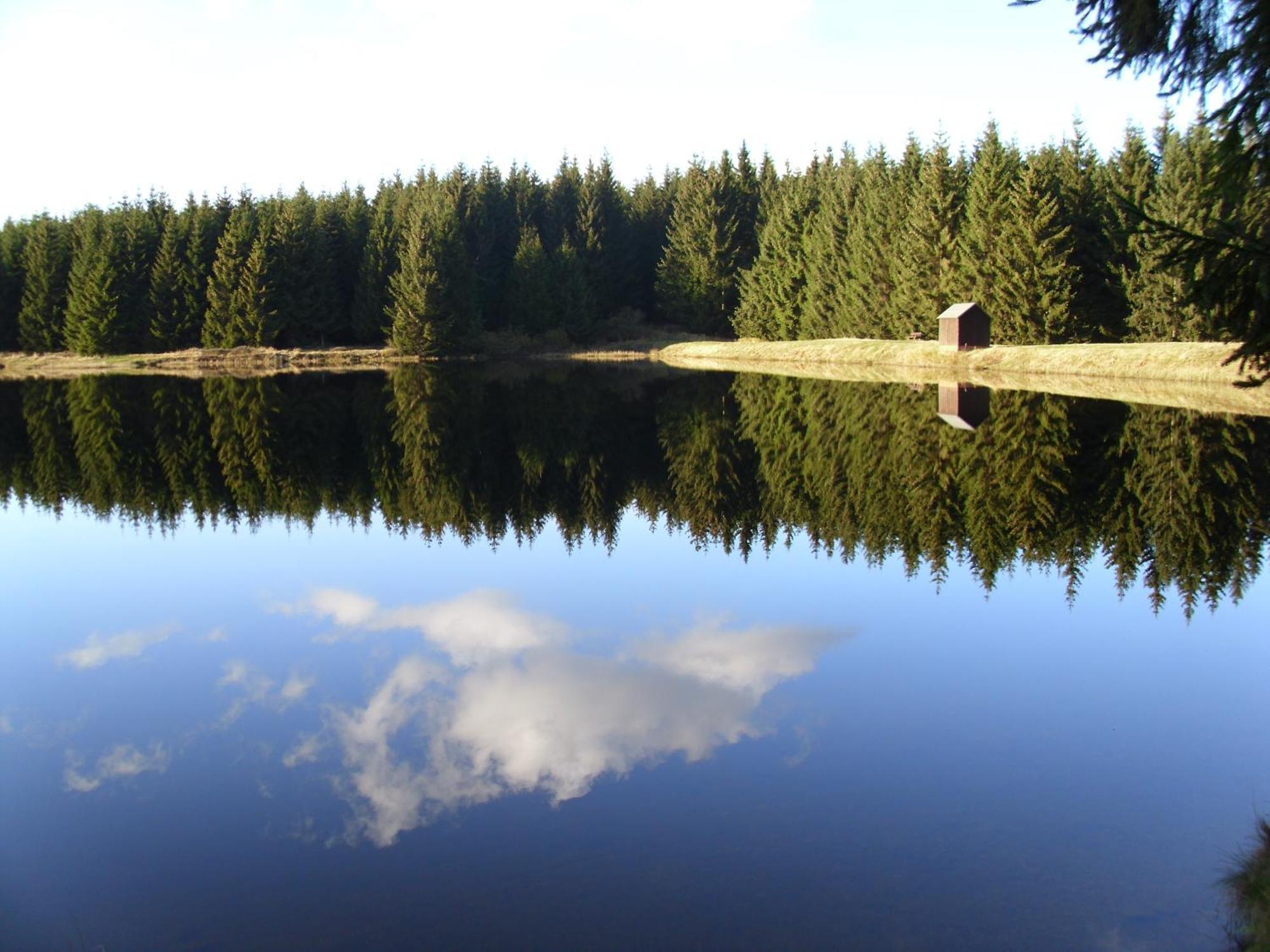 Naturkost-Hotel Harz Bad Grund Luaran gambar