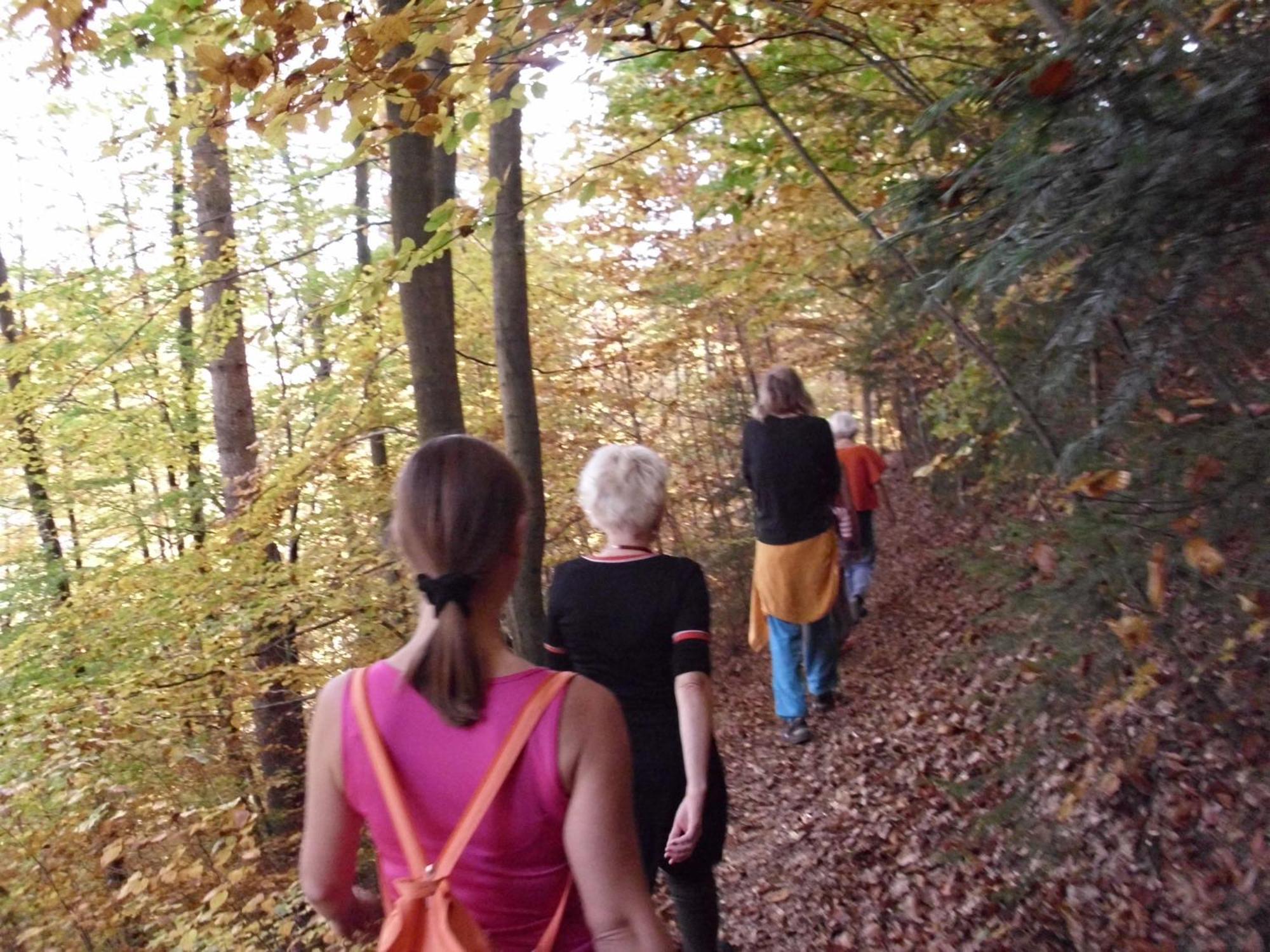 Naturkost-Hotel Harz Bad Grund Luaran gambar