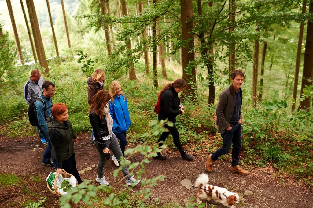Naturkost-Hotel Harz Bad Grund Luaran gambar